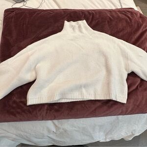 Zara Cream Turtleneck Sweater